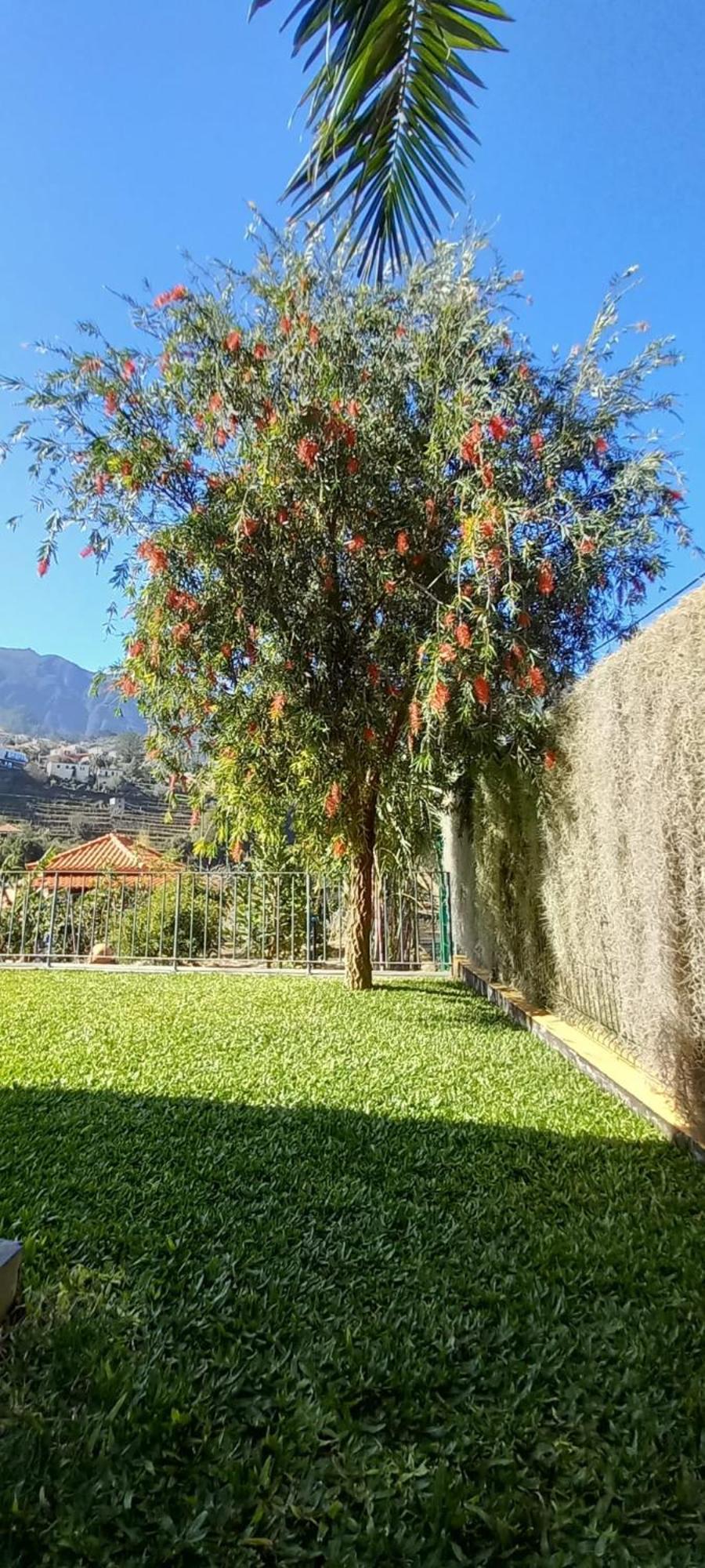 São Vicente Refugio Do Limoeiroヴィラ エクステリア 写真