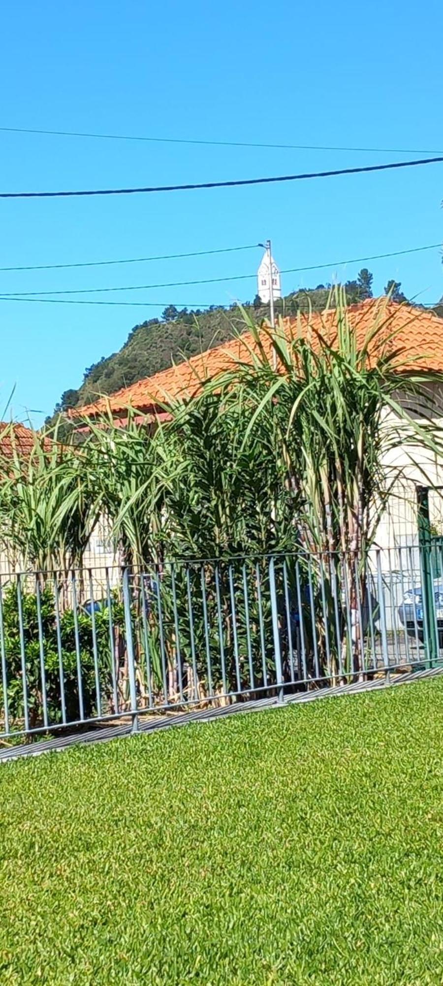 São Vicente Refugio Do Limoeiroヴィラ エクステリア 写真