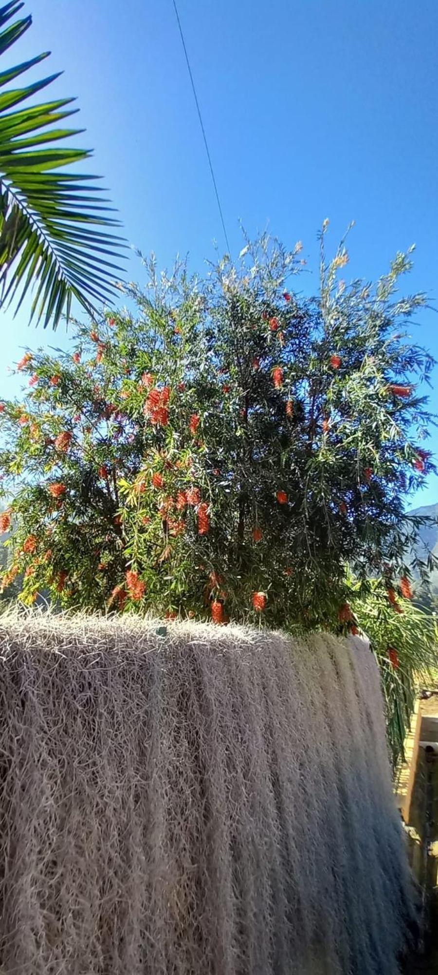 São Vicente Refugio Do Limoeiroヴィラ エクステリア 写真